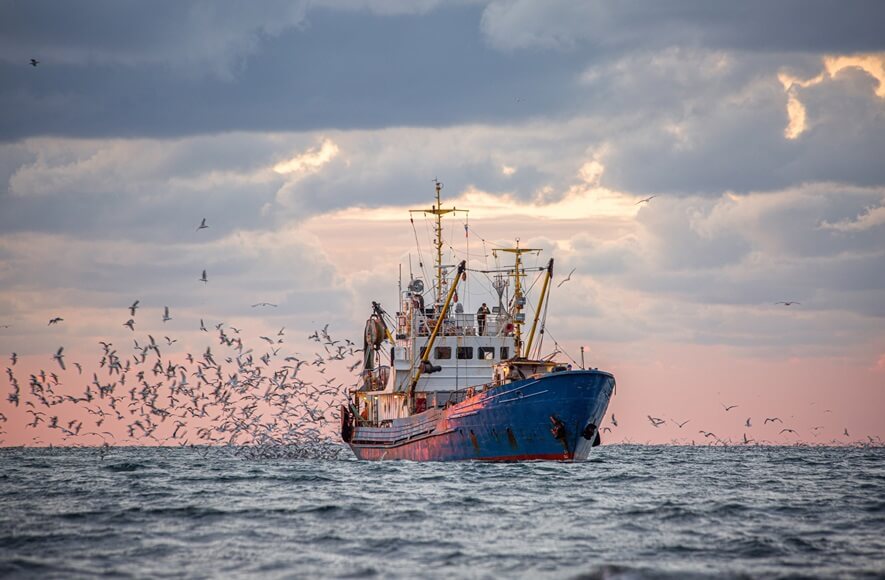 fishing trawler at sea surrounded by birds flying