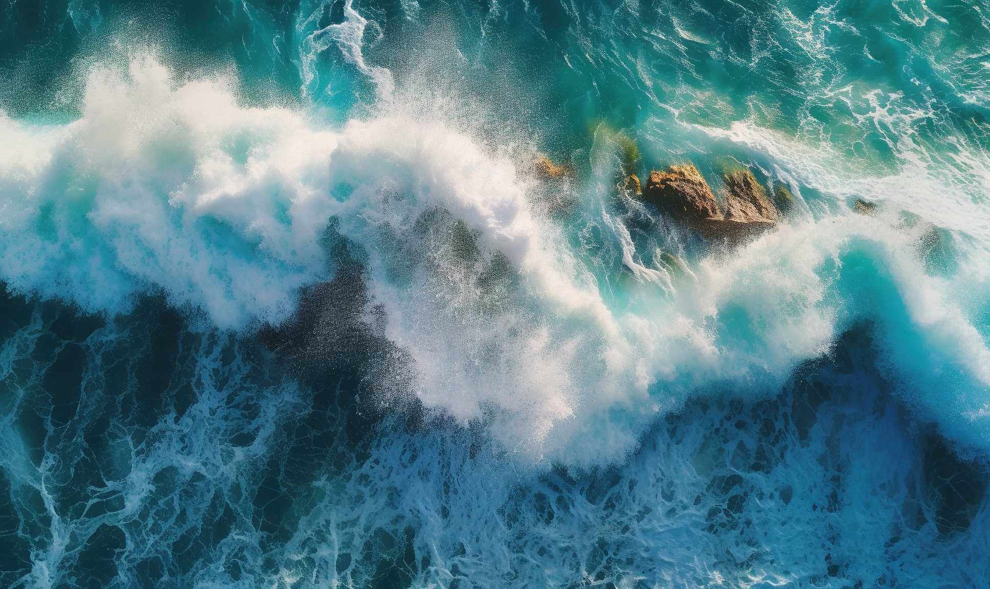 waves breaking in the ocean list of fish