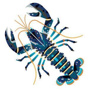 Close-up of a fresh European Lobster (Homarus gammarus), a seafood delicacy with sweet, tender meat. Ideal for grilling, boiling, or bisque. Discover sustainable seafood options at List of Fish.